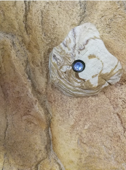 НоменклатураПрисоединенныеФайлы